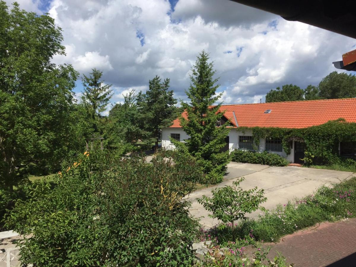 Landpension Dubnitz - Ferienwohnung 1 Сасниц Екстериор снимка